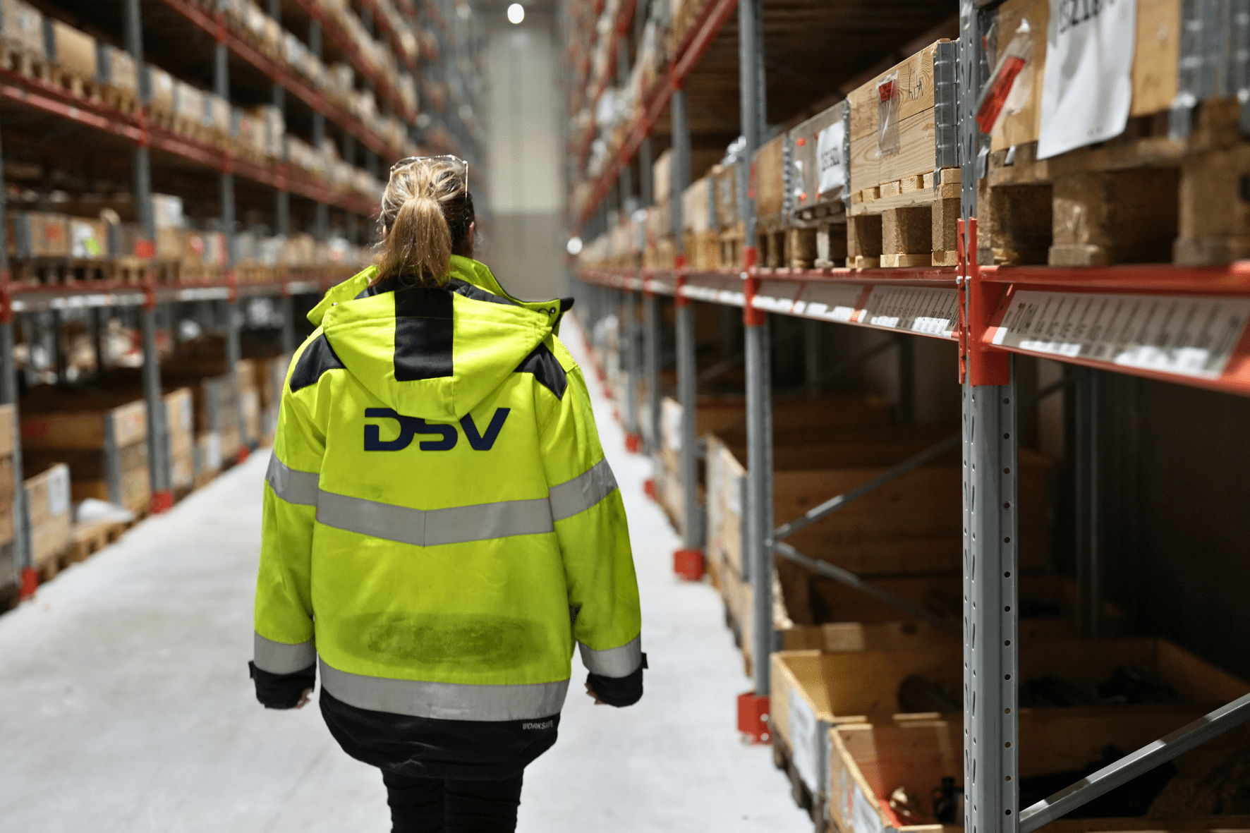 Maggie DSV Solutions